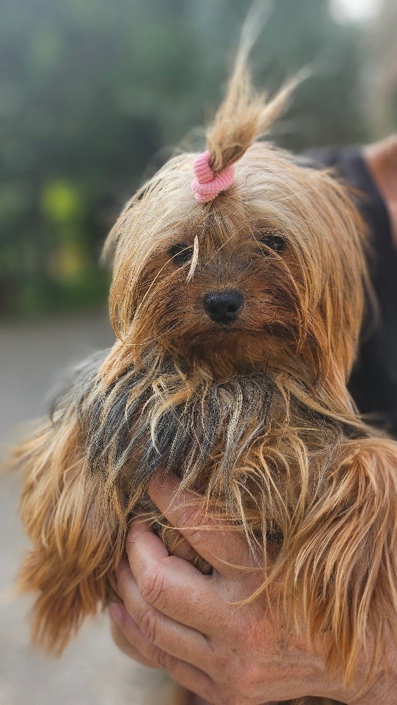 Unique girl De lou Simbeo